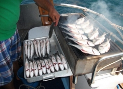 merhabagaleri05