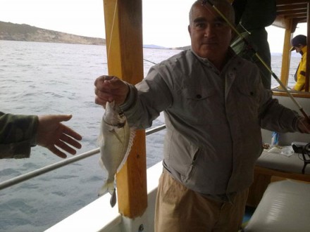 Balık Avı Foça, Foça Balık Avı, Merhaba Foça, Foça Kiralık Tekne
